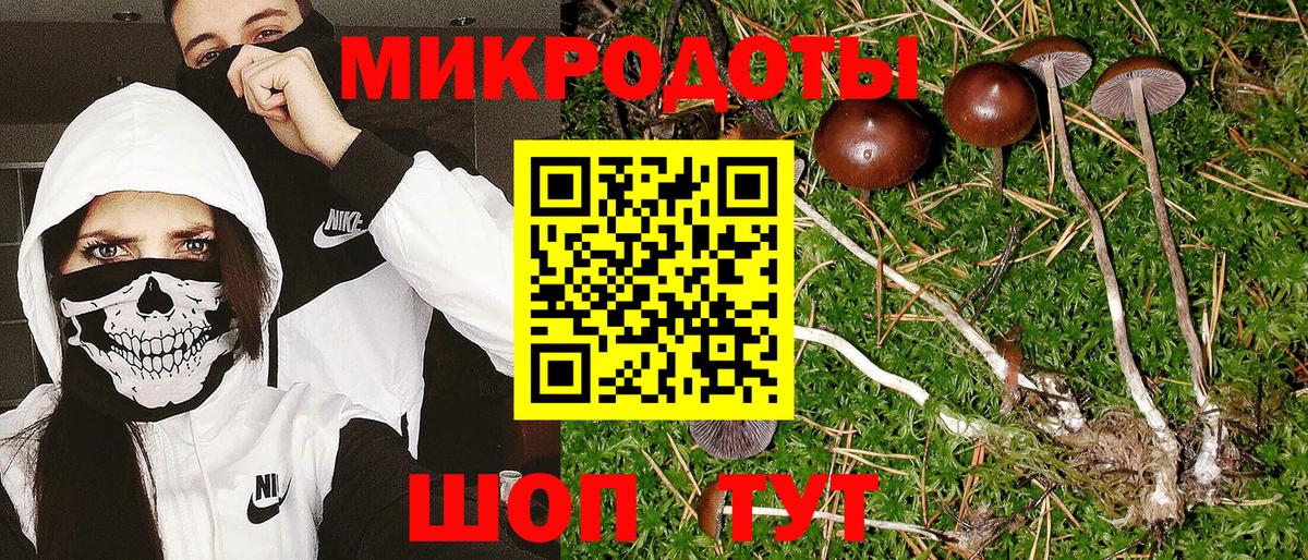 Псилоцибиновые грибы мицелий  Вход с VPN  наркота  Сегежа 